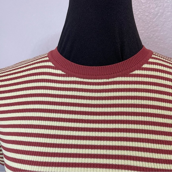 Zara Crewneck Ribbed Short Sleeve Brown Coffee Mint Green Striped CropTop LARGE - Picture 3 of 6